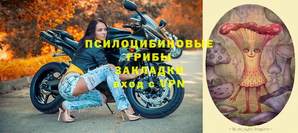 винт Алексин