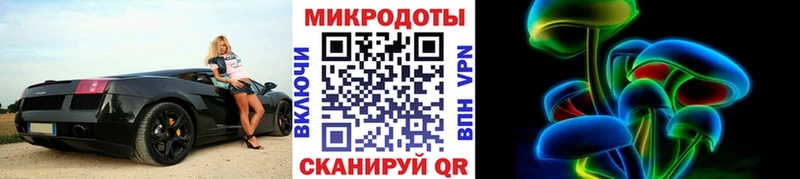 где найти наркотики  Порхов  Псилоцибиновые грибы Cubensis 